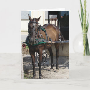 Am Hitching Post Geburtstag Karte