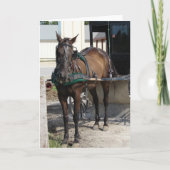 Am Hitching Posten Karte (Vorderseite)