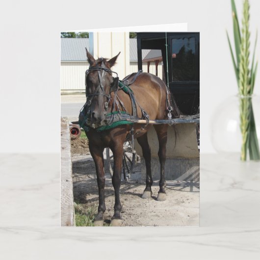 Am Hitching Posten Karte (Vorderseite)