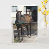 Am Hitching Posten Karte (Gelbe Blume)