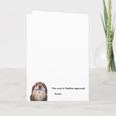 Am I The Drama? Karte (Rückseite)