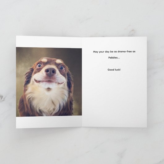 Am I The Drama? Karte (Innenseite)