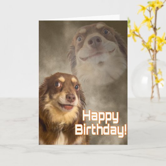 Am I The Drama? Karte (Gelbe Blume)