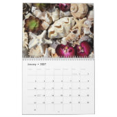 Am Meer Kalender (Jan 2027)