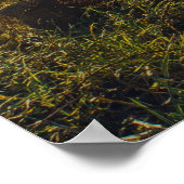 Am Meer von Galiläa Poster (Ecke)