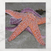 Am Meeresstern Weinetikett (Einzelnes Label)