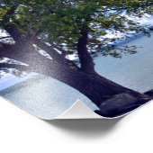 AM NACHMITTAG AM SEE. FOTO (Ecke)