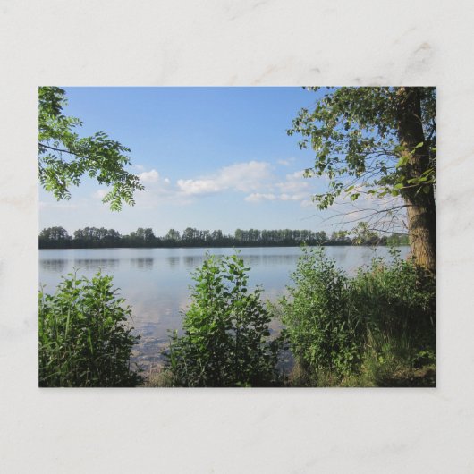 Am Natursee Postkarte (Vorderseite)