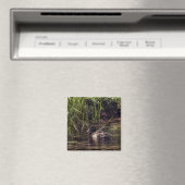 Am Rand des Teiches Magnet (In Situ (Geschirrspüler))