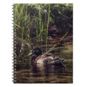 Am Rand des Teiches Notizblock (Vorderseite)