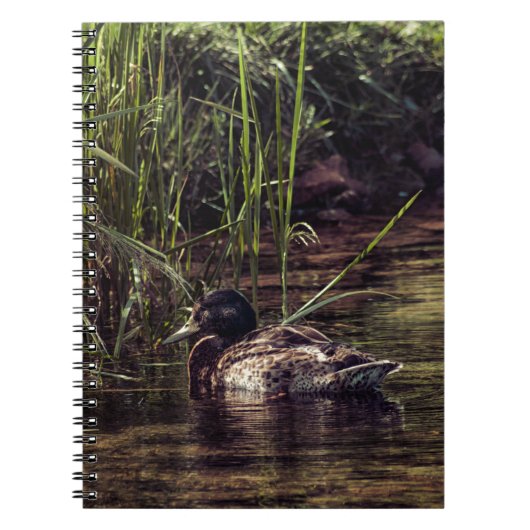Am Rand des Teiches Notizblock (Vorderseite)