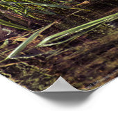 Am Rand des Teiches Poster (Ecke)