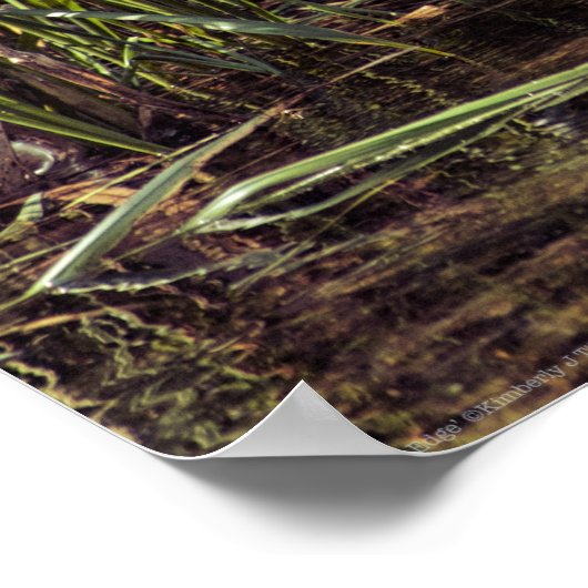 Am Rand des Teiches Poster (Ecke)