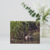 Am Rand des Teiches Postkarte (Stehend Vorderseite)