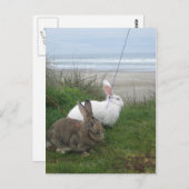 Am Strand Postkarte (Vorne/Hinten)