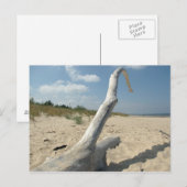 Am Strand - Postkarte (Vorne/Hinten)