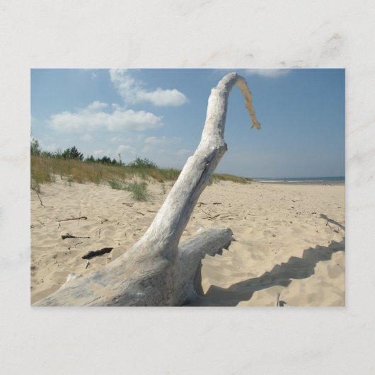 Am Strand - Postkarte (Vorderseite)