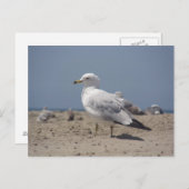 Am Strand Postkarte (Vorne/Hinten)