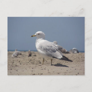 Am Strand Postkarte