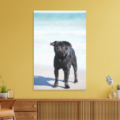 Am Strand Stehender schwarzer Mops Leinwanddruck (Insitu (Wohnzimmer))