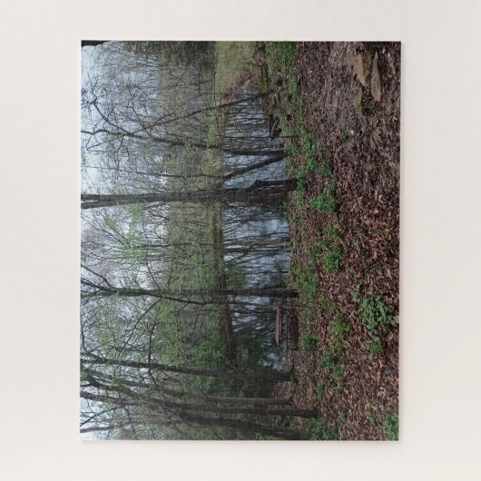 Am Teich das Puzzle (Vertikal)