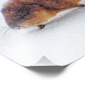 Am Ufer des Higgins-Sees rammt ein Muskrat Fotodruck (Ecke)