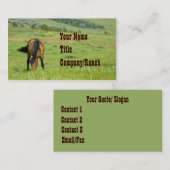 Am Weiden-Western Visitenkarte (Vorne/Hinten)