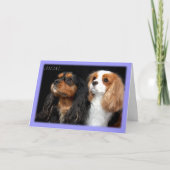 Am zweiten Tag der Mütter Cavalier King Charles Sp Karte (Vorderseite)