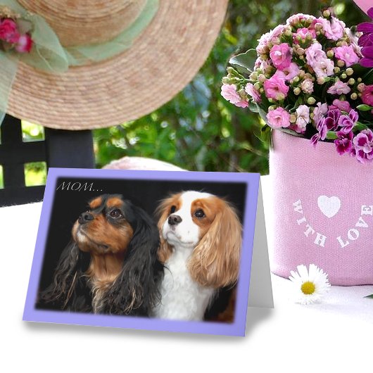 Am zweiten Tag der Mütter Cavalier King Charles Sp Karte