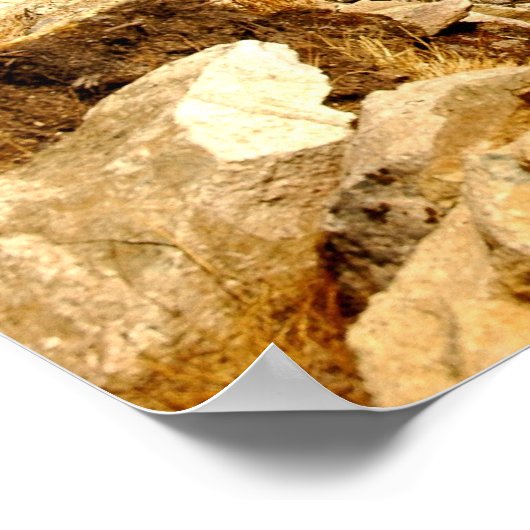 Ama Dablam Poster (Ecke)