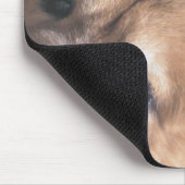 Amadeus passt auf mousepad (Ecke)