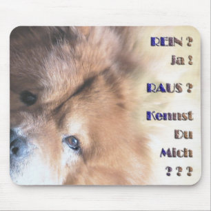 Amadeus passt auf mousepad