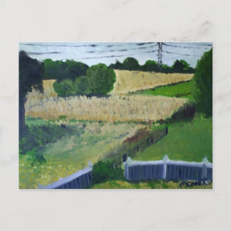 Amagansett Field Postkarte