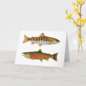 Amago & Masu Lachs aus Japan Karte (Gelbe Blume)