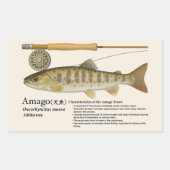 Amago (Oncorhynchus masou ishikawae) – English Rechteckiger Aufkleber (Vorderseite)