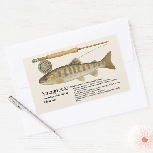 Amago (Oncorhynchus masou ishikawae) – English Rechteckiger Aufkleber (Umschlag)