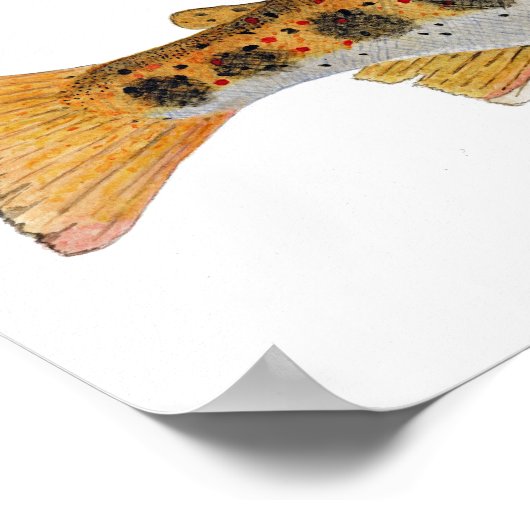 Amago Watercolor Poster (Ecke)