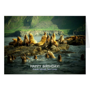 Amak Island Sea Lions Card