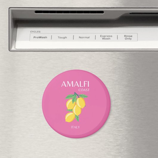 Amalfi Küste, Italien, Reisemöglichkeiten, Rosa, P Magnet (In Situ (Geschirrspüler))
