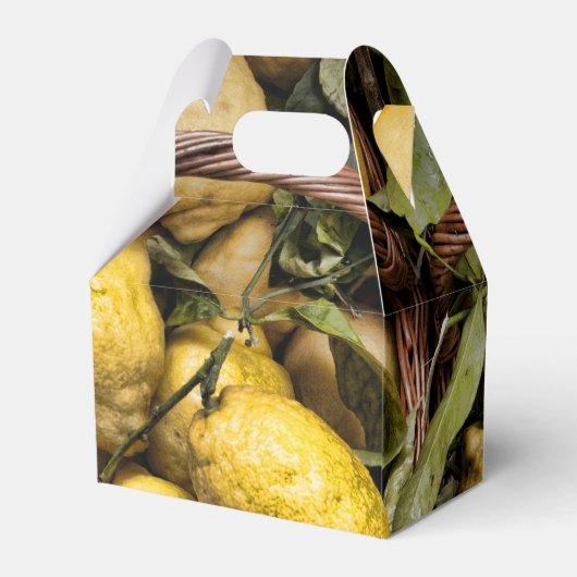 Amalfi Lemon Basket Geschenkschachtel (Rückseite)