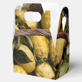 Amalfi Lemon Basket Geschenkschachtel (Geöffnet)