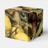 Amalfi Lemon Basket Geschenkschachtel (Rückseite)