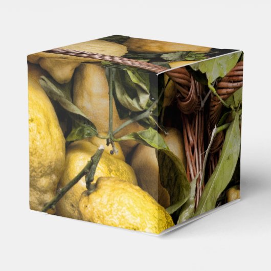 Amalfi Lemon Basket Geschenkschachtel (Rückseite)