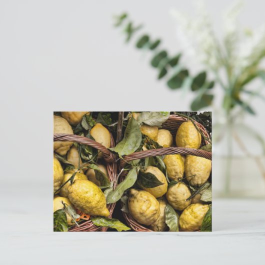 Amalfi Lemon Basket Postkarte (Stehend Vorderseite)