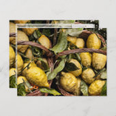 Amalfi Lemon Basket Postkarte (Vorne/Hinten)