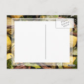 Amalfi Lemon Basket Postkarte (Rückseite)