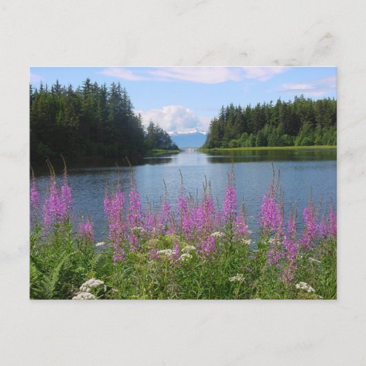 Amalga-Feuerweh-Ansichten Postkarte (Vorderseite)