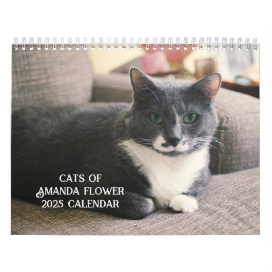 Amanda Blume Cat Calendar 2025 Kalender (Titelbild)
