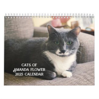 Amanda Blume Cat Calendar 2025 Kalender