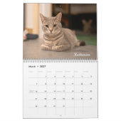 Amanda Blume Cat Calendar 2025 Kalender (Mär 2027)